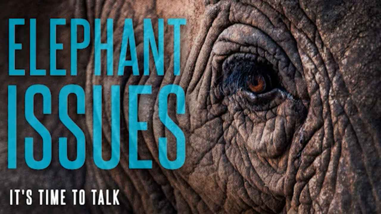 Elephant Issues – Can we trust the Bible? | Dale Oquis