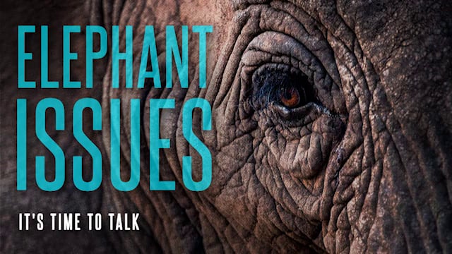 What’s The Big Deal About Lust? | Dale Oquist